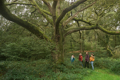 One Day Nature Retreat for Two