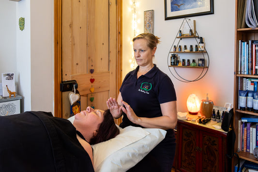 Holistic Therapy Treatment & Consultation