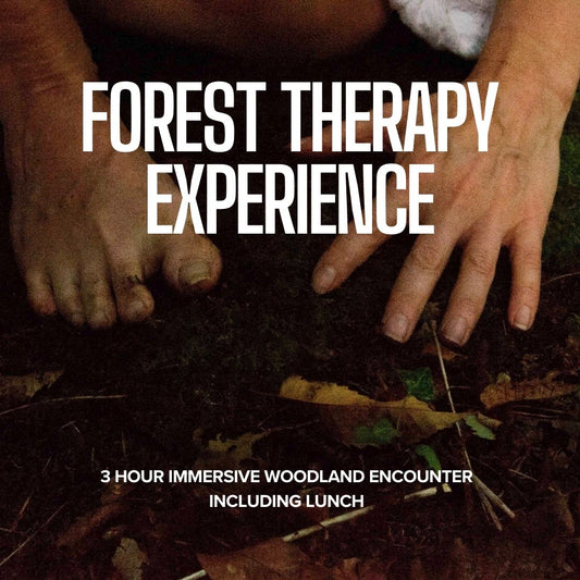 Forest Therapy & Lunch Experience- JULY