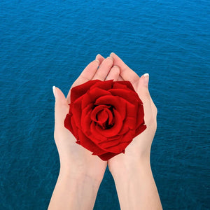 Womb Healing | Experience Image